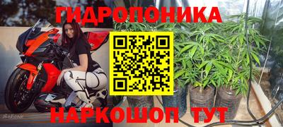 скорость Бийск