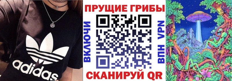 Галлюциногенные грибы мицелий  Кудрово 
