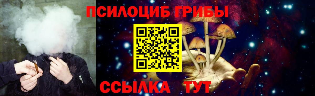 Галлюциногенные грибы MAGIC MUSHROOMS  Кудрово 