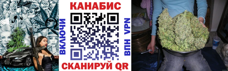 Конопля конопля  Кудрово 